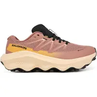 Salomon Baskets Ultra Flow 2 Gtx W pour Femme