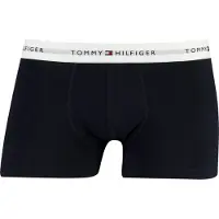 Tommy Hilfiger Um0um03889 Trunk Boxers 3 Units Bleu L Homme