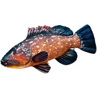 Gaby The Dusky Grouper Giant Pillow Orange