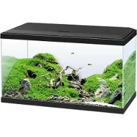 Ciano Aquarium - - 60 L - Filtre - LED - Chauffage - FOAM 30PPI - CF80 - Noir