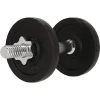 Endurance Haltères 'Dumbell 10 kg' noir / argent