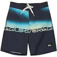 Quiksilver Everyday 13´´ Swimming Shorts Bleu 5 Years Garçon