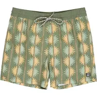 Billabong Vacay Swimming Shorts Vert S Homme