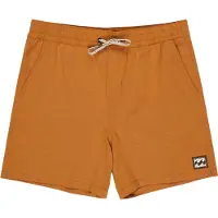 Billabong Every Other Day Swimming Shorts Marron S Homme
