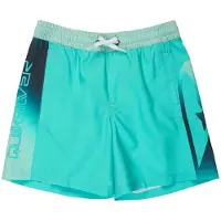 Quiksilver Everyday Holmes Volley 16´´ Swimming Shorts Vert 8 Years Garçon