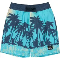 Quiksilver Everyday Printed Volley 13´´ Swimming Shorts Bleu 3 Years Garçon