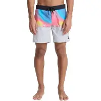 Quiksilver Everyday Half Jam 16´´ Swimming Shorts Multicolore 36 Homme