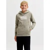 Jack & jones Junior Sweat 'JCOFusion' gris clair / sapin / vert pastel