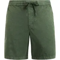 Protest Pantalon 'PRTNivel' vert foncé