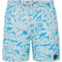 Protest Colney Swimming Shorts Bleu 140 cm Garçons