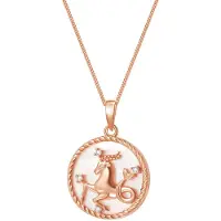 Hey Happiness Chaîne 'Capricorn' or rose