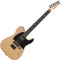 Fender Telecaster Jim Root Ebo Shoreline Gold