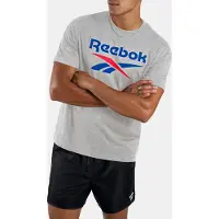 Reebok WIP 100240886 in GRIS color size medium