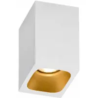 Wever & Ducre Pirro Projecteur Pirro Spot 1.0 | White Matt|Gold | 2700 K