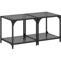 vidaXL Tables basses avec plateau en verre 2 pcs. noir 40x40x40 cm acier