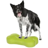 FitPAWS Plate-forme d'équilibre pour animaux K9FITbone PVC Vert
