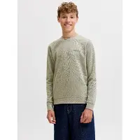 Jack & Jones Junior Sweat 'JJEArchive' vert pastel
