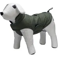 Designed By Lotte Manteau Pour Chien Zhanti