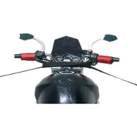 Puig 4592n Tie-down Strip Argenté
