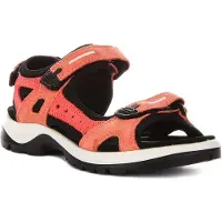 Ecco Chaussures 06956361539