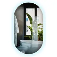 Drukarnia Piga Miroir Ovale avec éclairage LED avec Lumière décorative Design 58x100 cm lumière froide Mural Miroir de maquillage pour dressing pour Chambre à coucher Salon Séjour Salle de bain