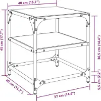 vidaXL Tables basses avec plateaux en verre 2 pcs. noir 40x40x45 cm acier