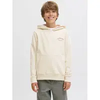 Jack & Jones Junior Sweat 'JJEBrandes' rouille / blanc cassé
