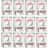 Royal Canin Dog gastro intestinal 48x400 g karma mokra dla psów z zaburzeniami żołądkowo-jelitowymi