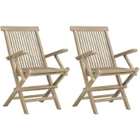 vidaXL Chaises de jardin 2 pcs. Pliable Gris 56x61x89 cm Bois massif Teck