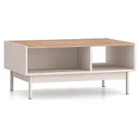 Selsey Dunea – Table basse avec compartiments ouverts, gris cachemire/aspect bois de chêne, 90x60 cm