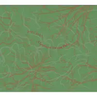 Tzadik John Zorn - A Garden Of Forking Paths [Cd]