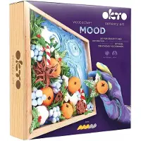 Okto Set de création Succulentes Wood & Craft, 21 x 21 cm, 14 ans et +, Joy,