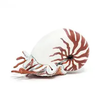 Papo - Figurine Nautile