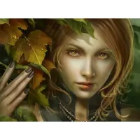 Grafika Puzzle The Leaf Say - 2000 pièces