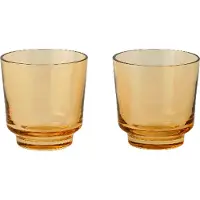 Muuto Raise Verres Burnt Orange | 20 cl