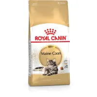 Royal Canin Maine Coon Adult 10 kg + Nourriture humide Maine Coon 12x85 g