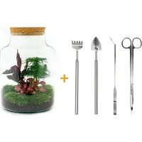 Urbanjngl Diy Terrarium - Milky - ↕ 30 Cm