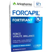 Forcapil Arkopharma CHEVEUX ET ONGLES 60 pc(s) Capsule(S)