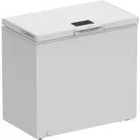 Whirlpool Congélateur W3RHS19EW2