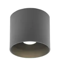 Wever & Ducre Ray Outdoor LED Applique Dark Grey | 3000 K