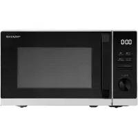 Sharp RCG251TS