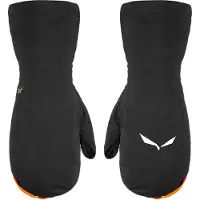 Salewa Ortles Powertex 3l Mittens Noir S