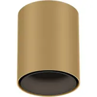 Wever & Ducre Ray Mini LED 1.0 Plafonnier Champagne|Black Matt | 3000 K