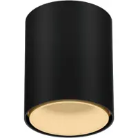 Wever & Ducre Ray Mini LED 1.0 Plafonnier Black Matt|Champagne | 3000 K