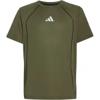 Adidas T-Shirt fonctionnel 'TECH APPAREL CLIMACOOL' vert