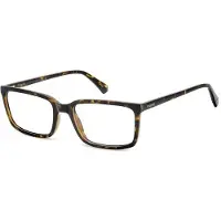 Polaroid Lunettes de Vue PLD D546 57/19/145 Havana Polyamide frames MAN PLD D546