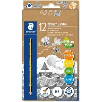 Staedtler Box 12 Triangular Pencils Jumbo Triplus Gris Enfants