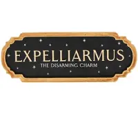 W M Widdop Harry Potter - Expelliarmus - Décoration Murale