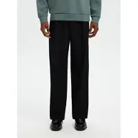 Selected Pantalon à plis 'SLH220-FINN' noir