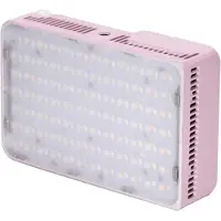 Amaran Ace 25x rose